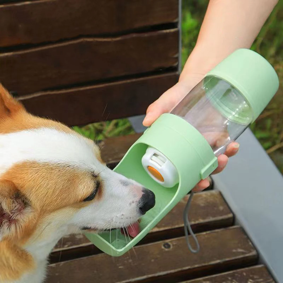 3-in-1 Water & Food Bottle